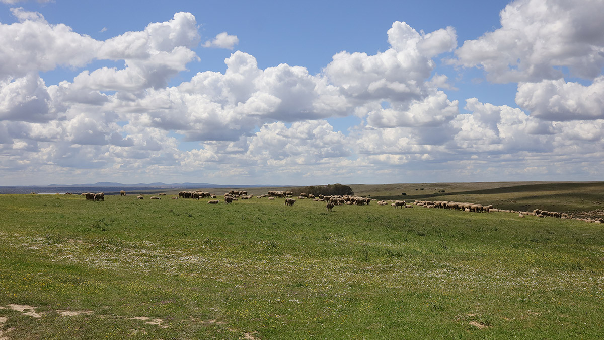 Extremadura